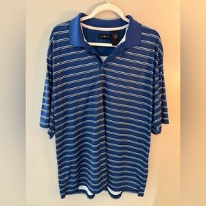 Men's Polo Shirt in Blue and White Stripes